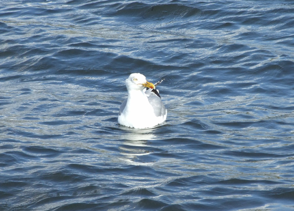 bild-020.jpg