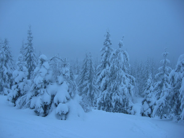 bild022